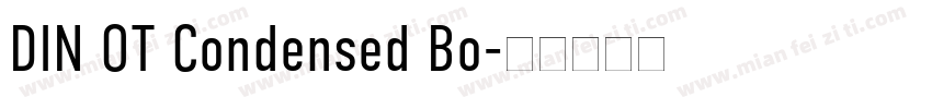 DIN OT Condensed Bo字体转换